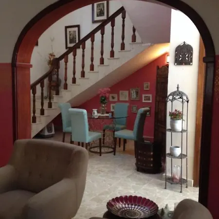 Bohemian Homestay In With Pool And Friendly Cats
