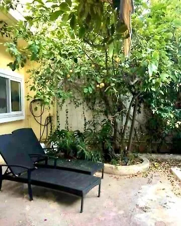 Homestay Bohemian Homestay In With Pool And Friendly Cats