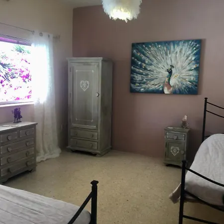 Bohemian Homestay In With Pool And Friendly Cats Homestay *