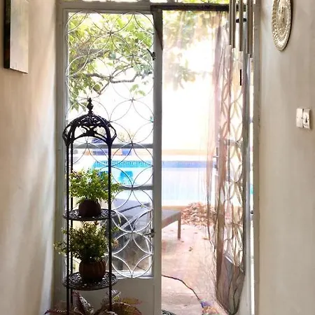 Bohemian Homestay In With Pool And Friendly Cats Homestay