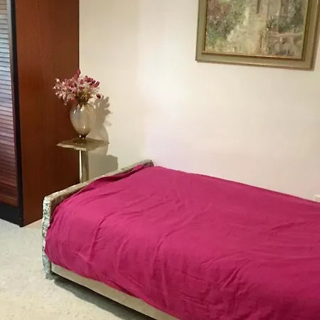 Homestay Bohemian Homestay In With Pool And Friendly Cats