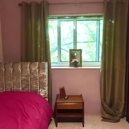 Homestay Bohemian Homestay In With Pool And Friendly Cats